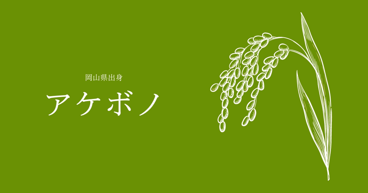 アケボノ
