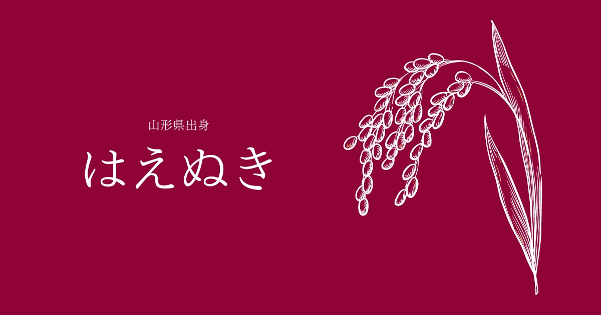 はえぬき とは 特徴からおすすめを紹介 山形県 お米ふぁん