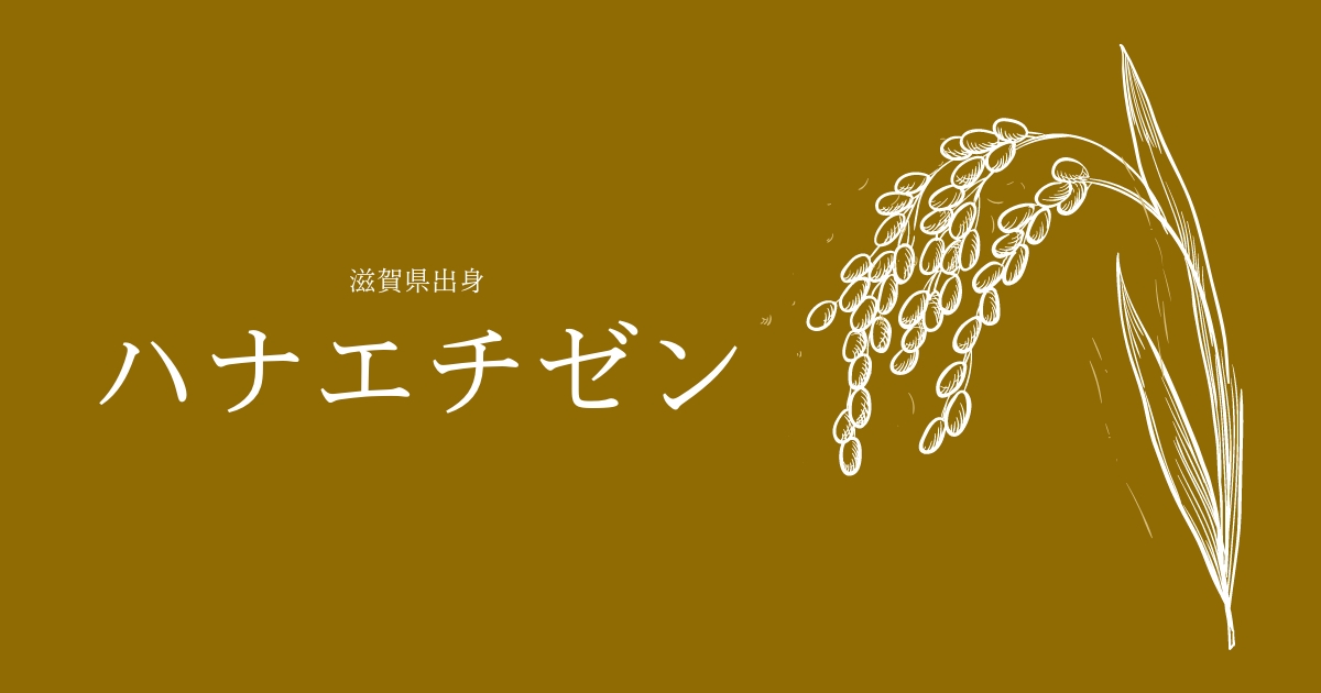 ハナエチゼン