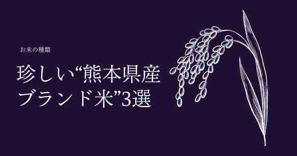 【2023年最新】お米ふぁんおすすめの“熊本県産ブランド米3選”珍しいご当地米に舌鼓