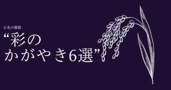 【2023最新】お米ふぁんおすすめの埼玉県産“彩のかがやき6選”特徴や由来、ランクも