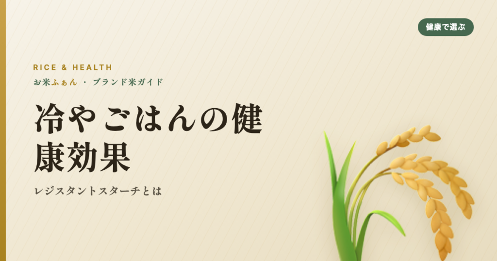 冷やごはんの健康効果 レジスタントスターチとは