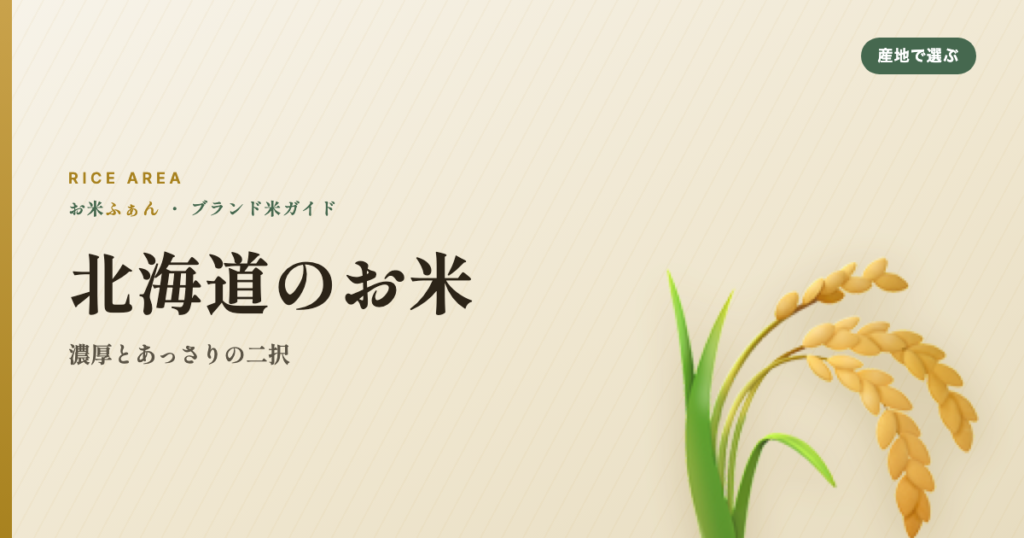 北海道のお米 濃厚とあっさりの二択