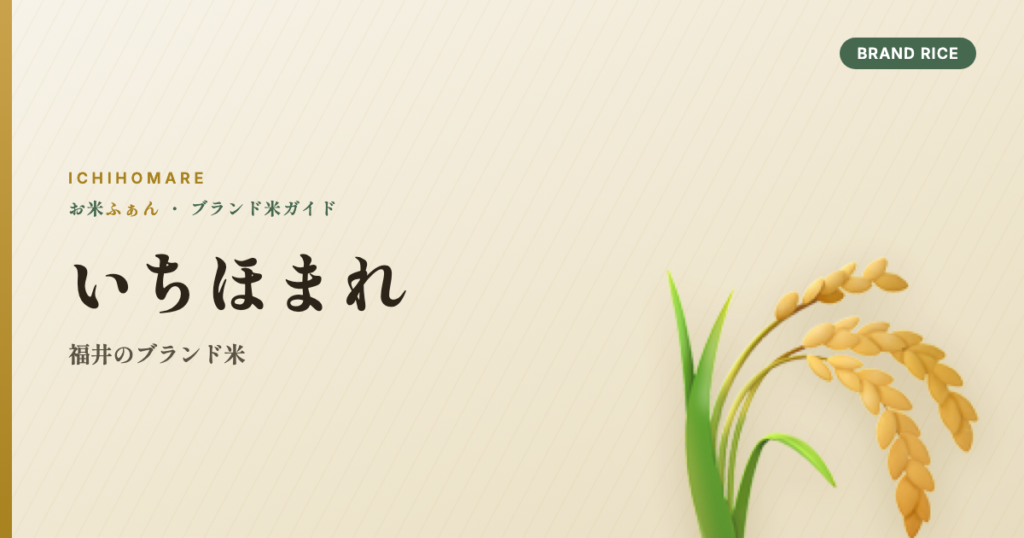 いちほまれ 福井のブランド米