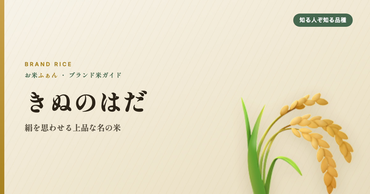 きぬのはだ