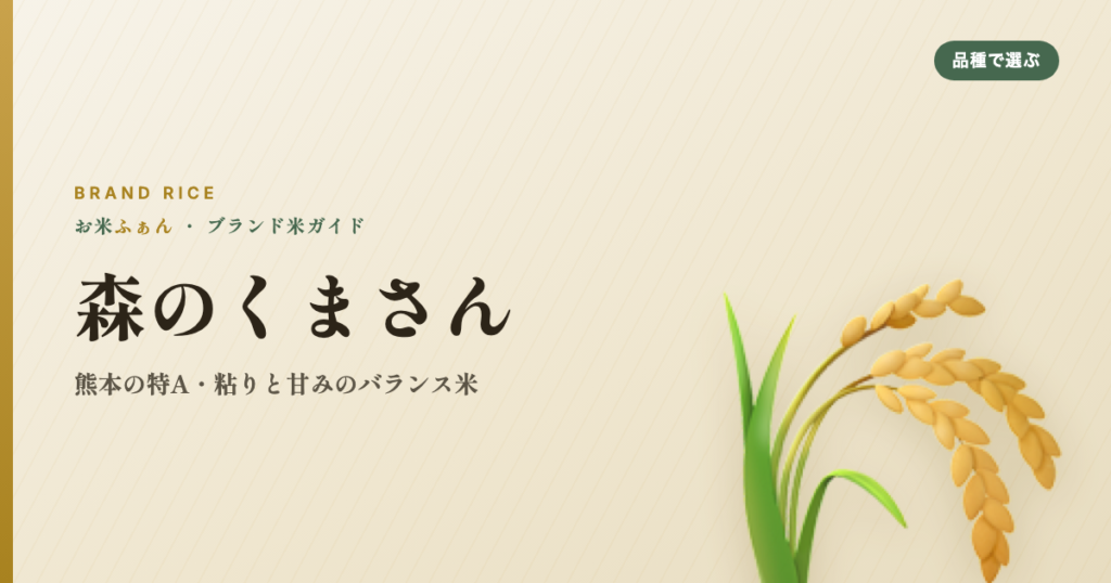 森のくまさん 熊本の特A・粘りと甘みのバランス米