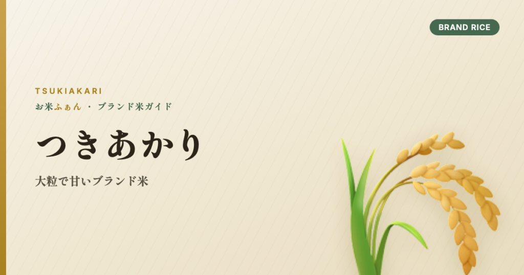 つきあかり 大粒で甘いブランド米