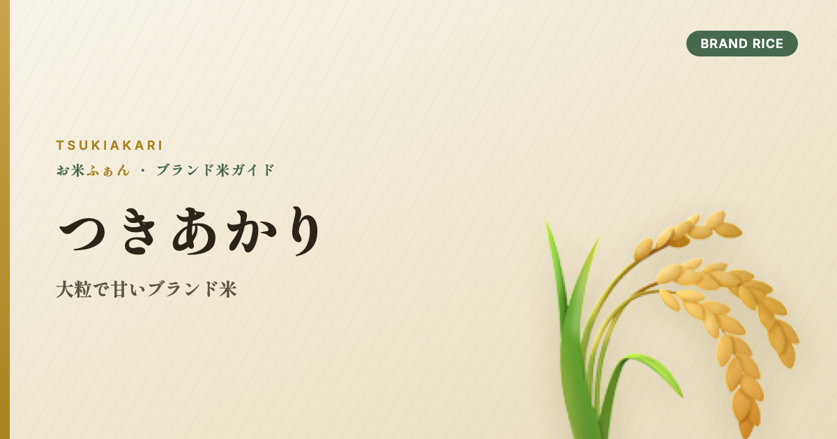 つきあかり